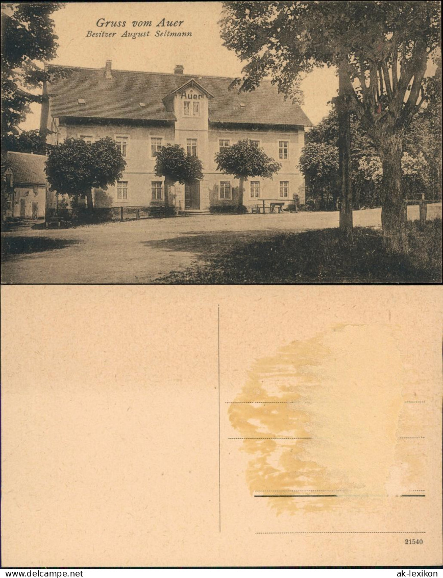 Ansichtskarte Auer-Moritzburg Waldgasthof "Auer" 1913  - Moritzburg