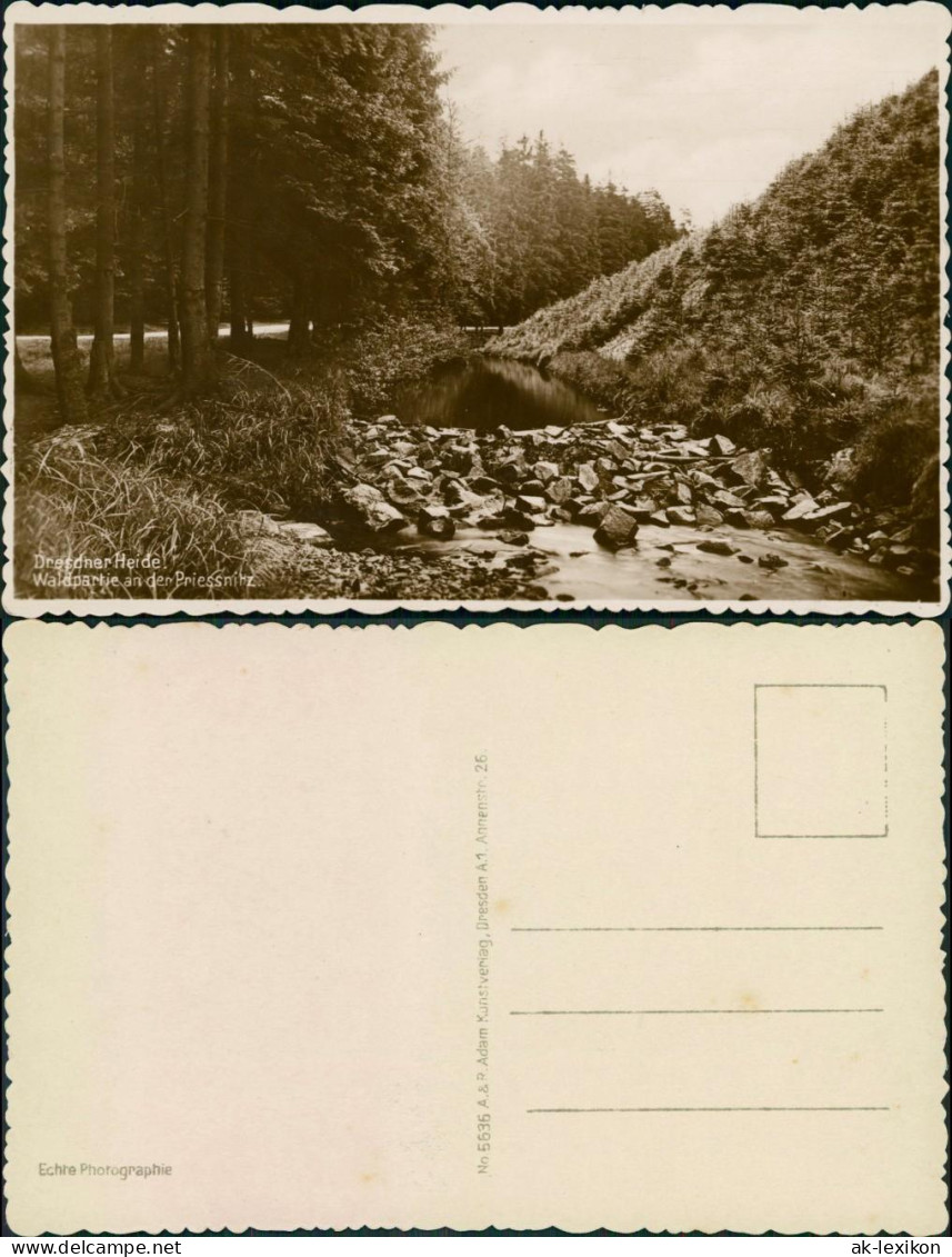 Ansichtskarte Dresdner Heide-Dresden Waldpartie An Der Priessnitz 1935  - Dresden