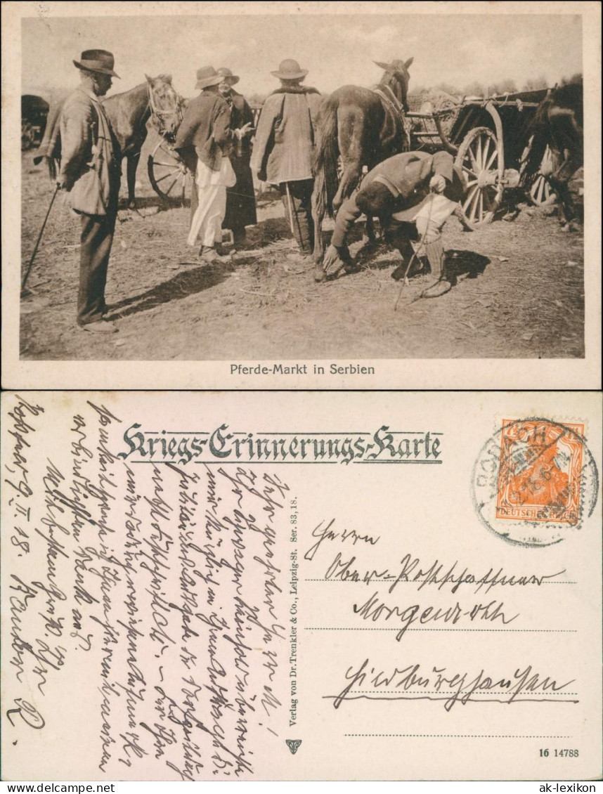 Ansichtskarte  Militaria - Pferdemarkt In Serbien 1918  - Weltkrieg 1914-18