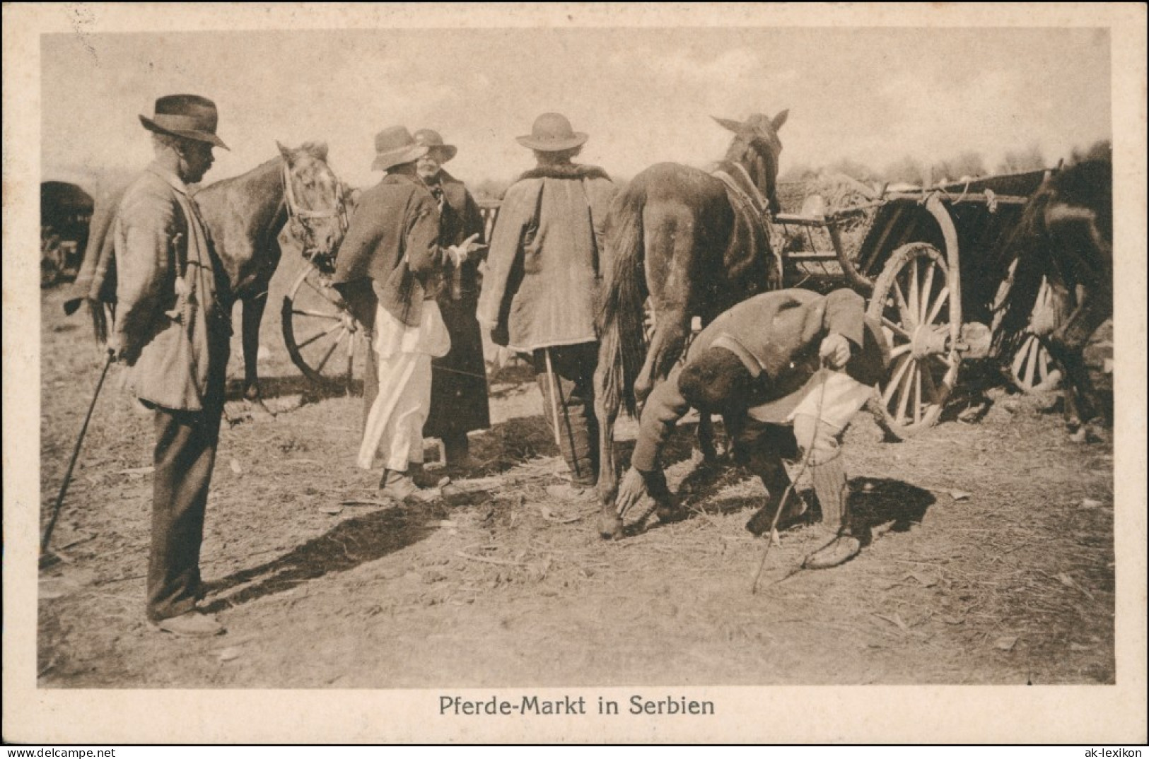 Ansichtskarte  Militaria - Pferdemarkt In Serbien 1918  - Guerre 1914-18