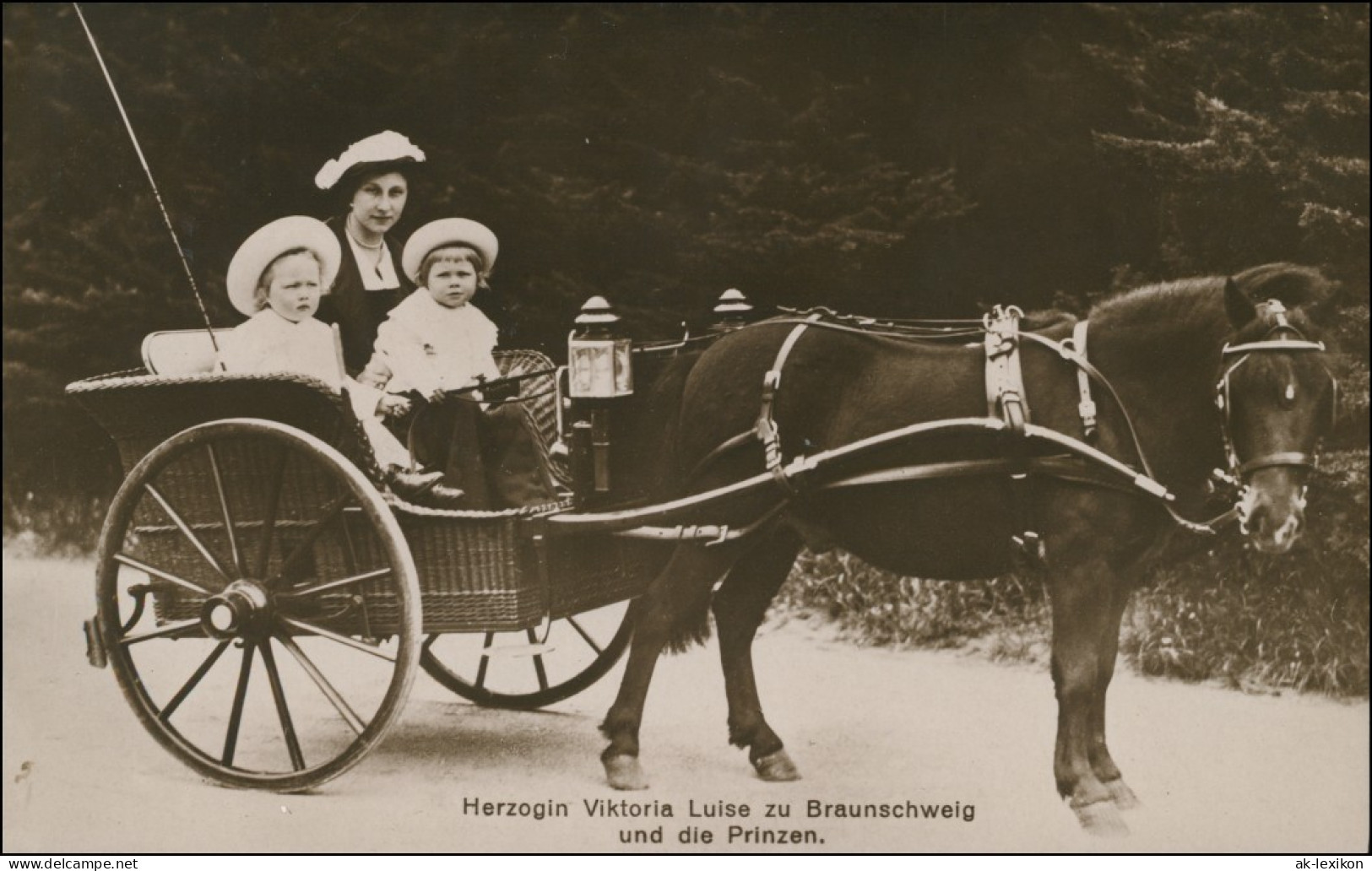 Ansichtskarte  Herzogin Viktoria Luise Zu Braunschweig Und Die Prinzen 1913  - Königshäuser