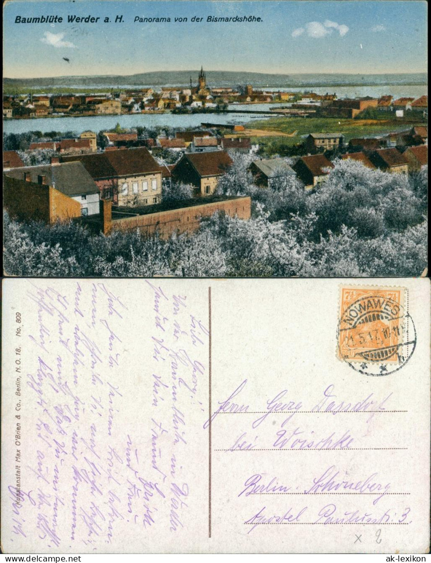 Ansichtskarte Werder (Havel) Panorama Von Der Bismarckshöhe, Baumblüte 1917 - Werder