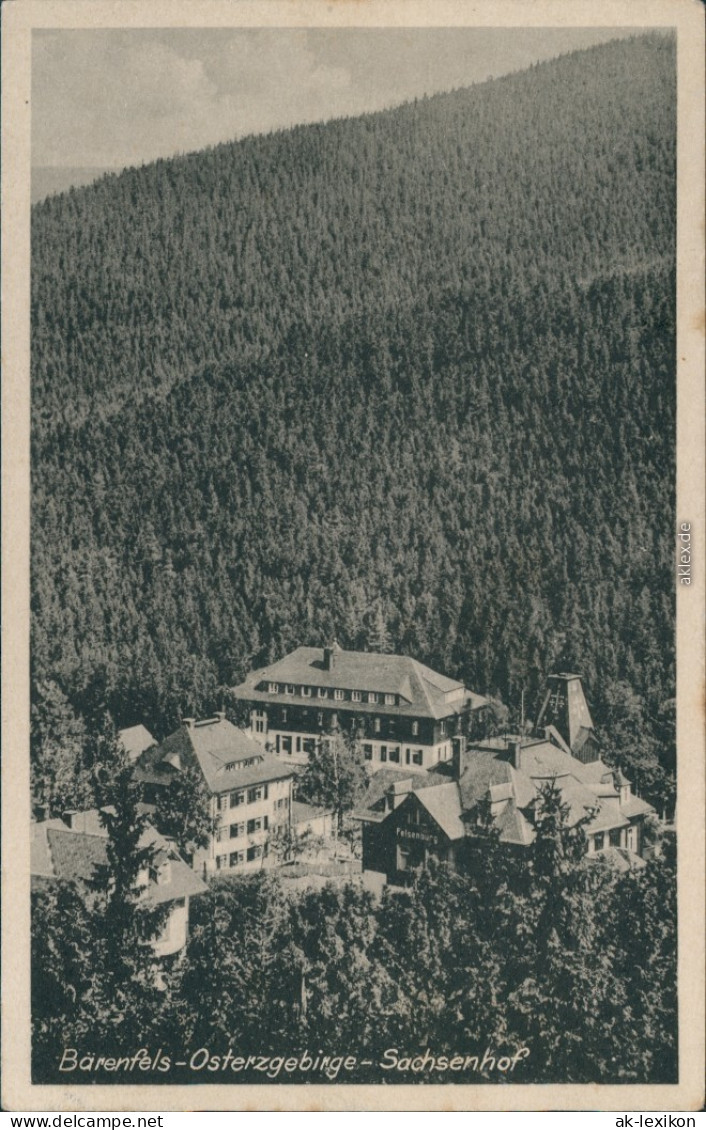 Bärenfels (Erzgebirge)-Altenberg (Erzgebirge) Kur Ferienheime - Sachsenhof 1948 - Altenberg