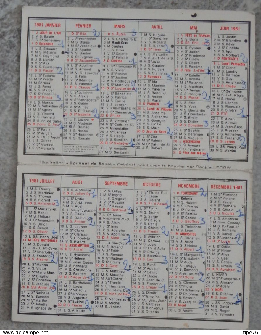 Petit Calendrier De Poche 1981 APBP Bouquet De Fleurs Peint Avec La Bouche Artiste Peintre - Montreuil Sous Bois - Formato Piccolo : 1981-90