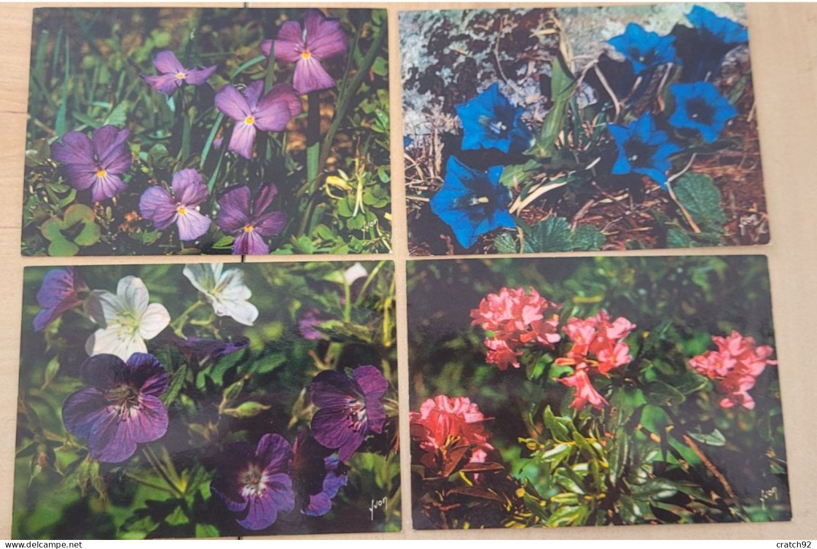 Lot De 8 Cartes "Jolies Fleurs Des Montagnes" Yvon Flore - Flowers