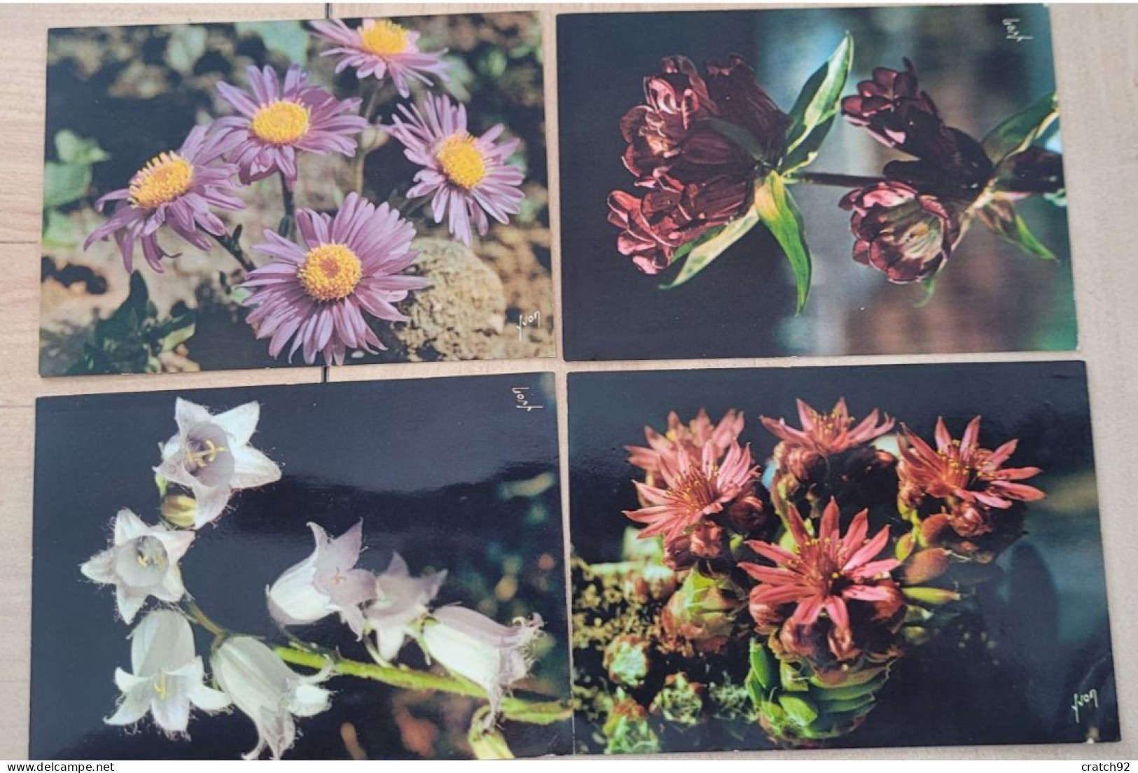 Lot De 8 Cartes "Jolies Fleurs Des Montagnes" Yvon Flore - Flowers