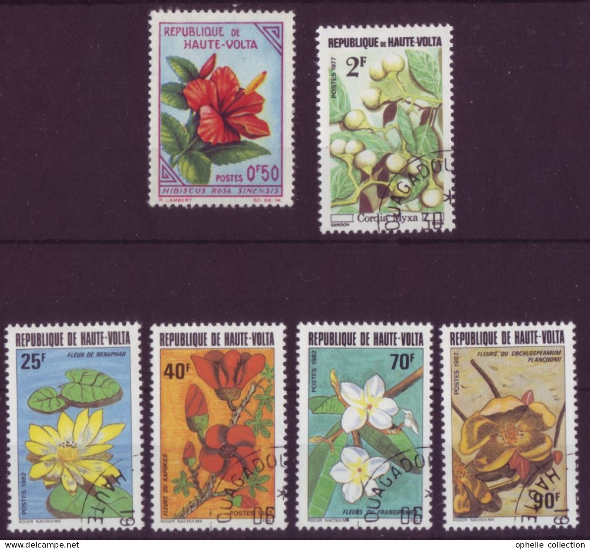 Afrique - Haute-Volta - Flore - 6 Timbres Différents - 7092 - Haute-Volta (1958-1984)