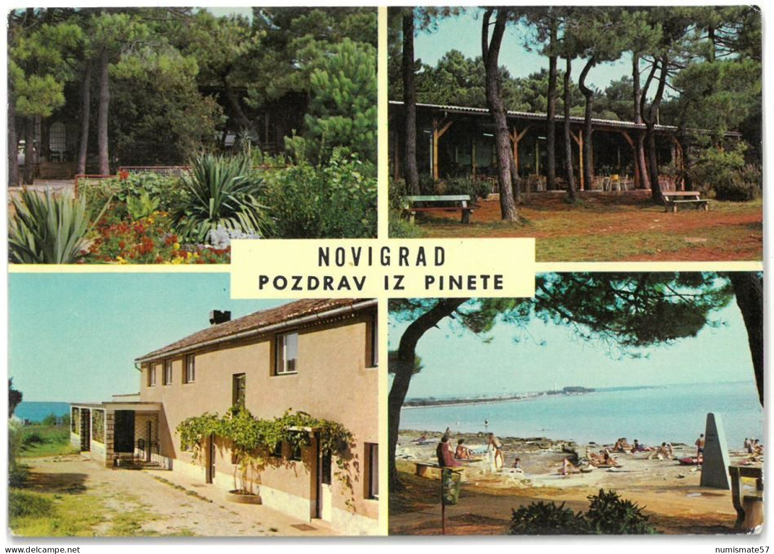 CP NOVIGRAD - Pozdrav Iz Pinete - Multi Vues - 4 Vues - ( Croatie - Yougoslavie ) - Yugoslavia