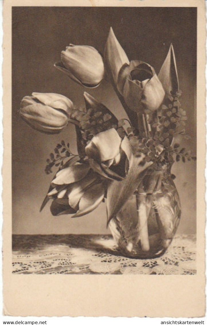 Blumen-Karte Tulpen Gl1938 #22.599 - Autres & Non Classés