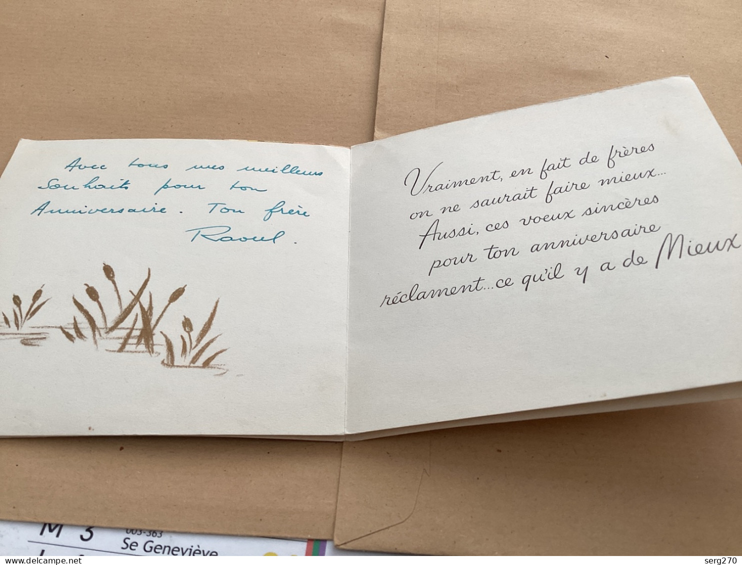 Anniversaire , Bonne Fête Cher Frère Canard Bonne Fête Cher Frère, Vraiment On Ne Saurait Faire Mieux Pour Ton Annivers - Anniversaire