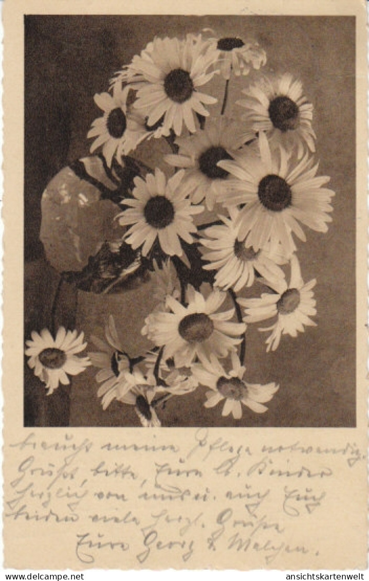 Blumen-Karte Margeriten Gl1938 #22.600 - Autres & Non Classés