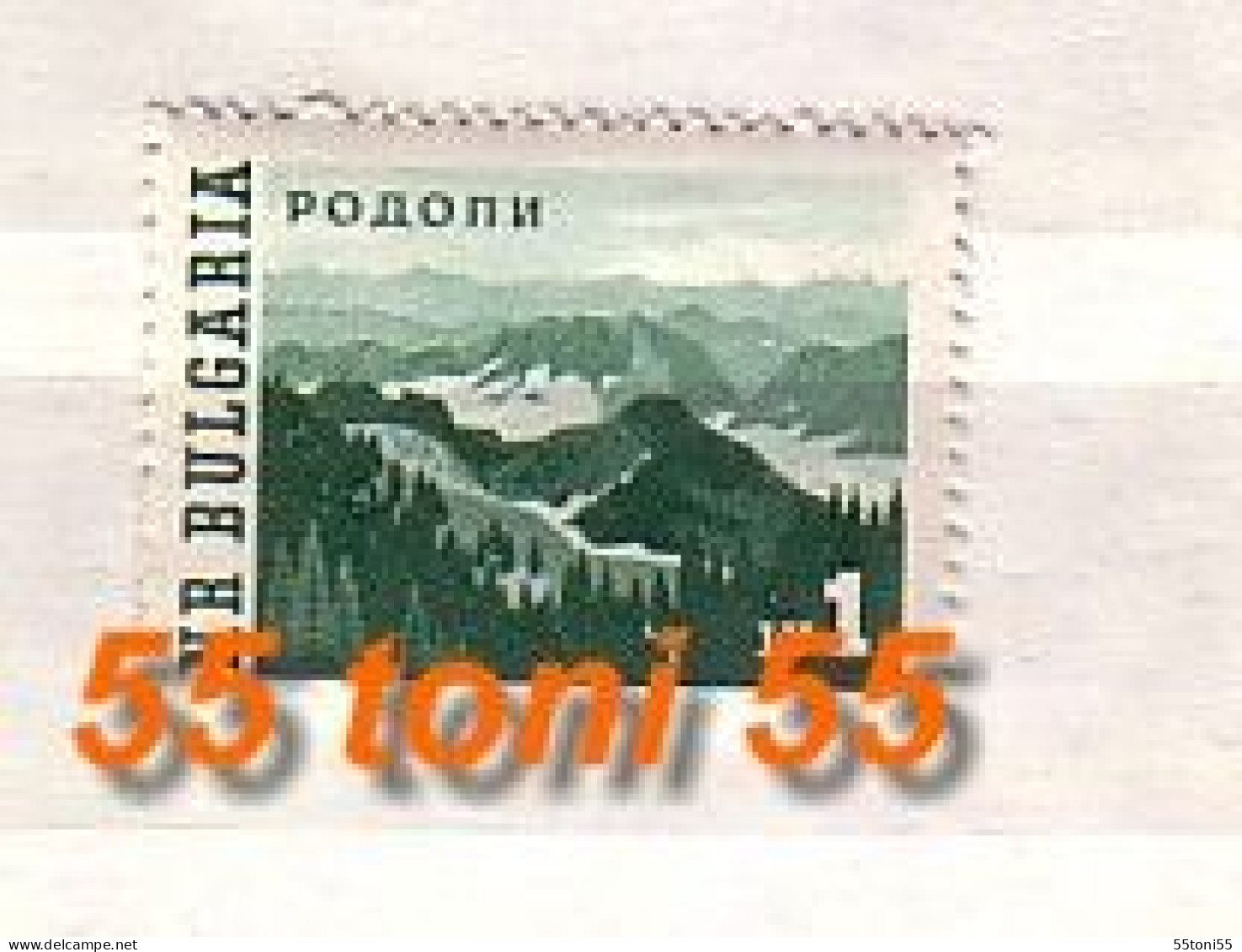 1962 Rhodope Mountain -  Nature  1v.-MNH  Bulgaria / Bulgarie - Unused Stamps