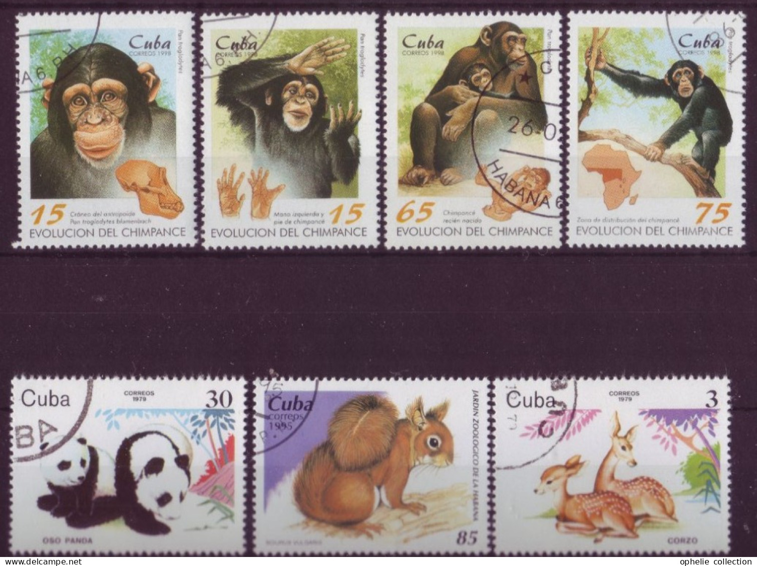 Amérique - Cuba - 2002 - Faune - 7 Timbres Différents - 7099 - Other & Unclassified