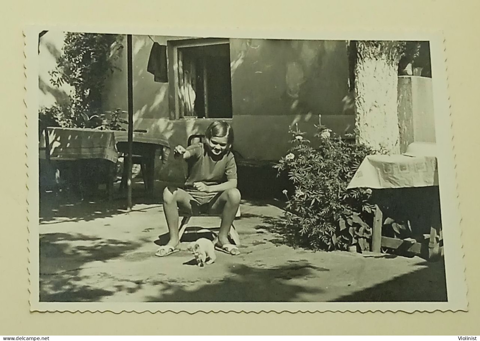 A Young Girl Is Playing With A Cat - Personnes Anonymes