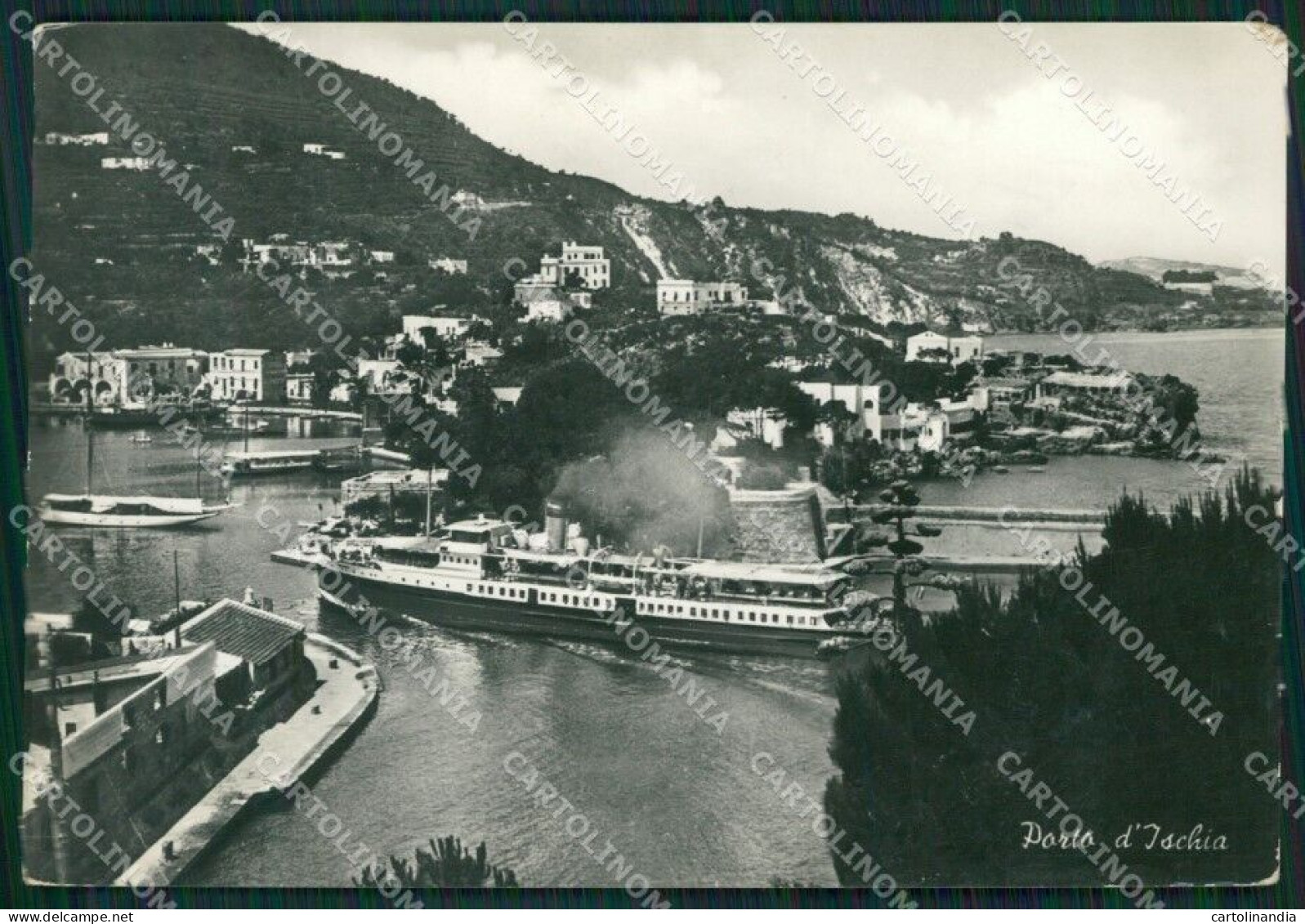 Napoli Isola D'Ischia Foto FG Cartolina ZK0263 - Napoli