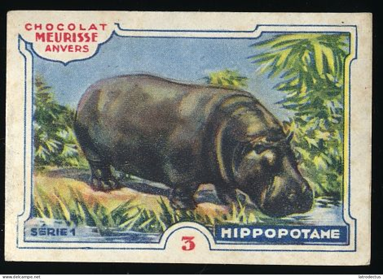 Meurisse - Ca 1930 - 1 - Les Animaux Sauvages, Wild Animals - 3 - Hippopotame - Otros & Sin Clasificación