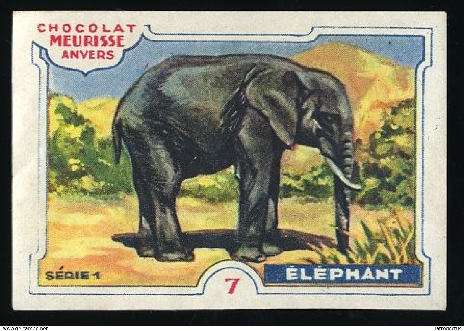 Meurisse - Ca 1930 - 1 - Les Animaux Sauvages, Wild Animals - 7 - Elephant - Sonstige & Ohne Zuordnung