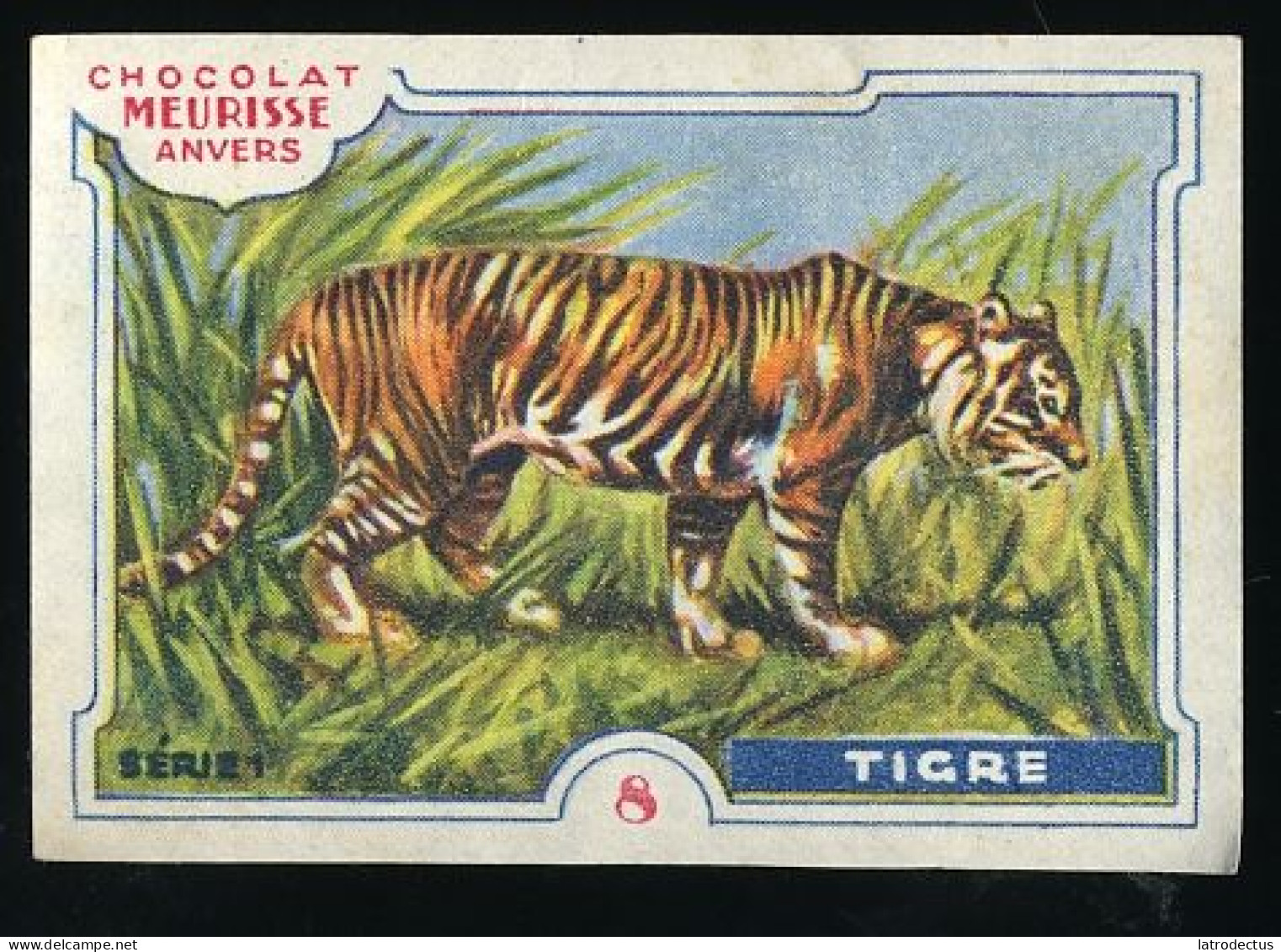 Meurisse - Ca 1930 - 1 - Les Animaux Sauvages, Wild Animals - 8 - Tigre, Tiger - Altri & Non Classificati