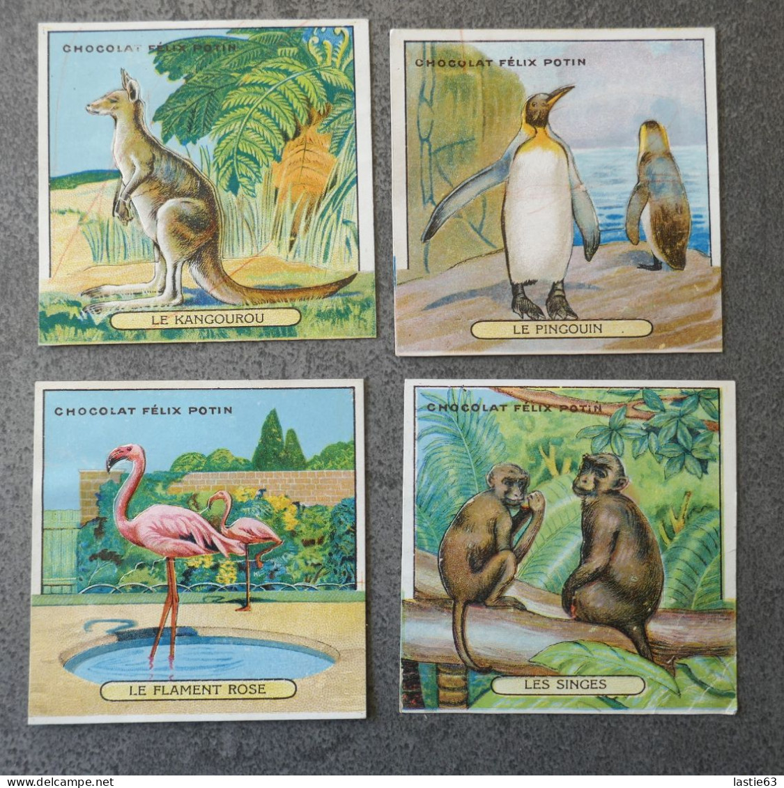 20 Images Chromos  Félix Potin  Système Pop Up  Prédécoupées  Decoupage Peuvent Tenir Debout Animaux   8x8 Cm - Andere & Zonder Classificatie