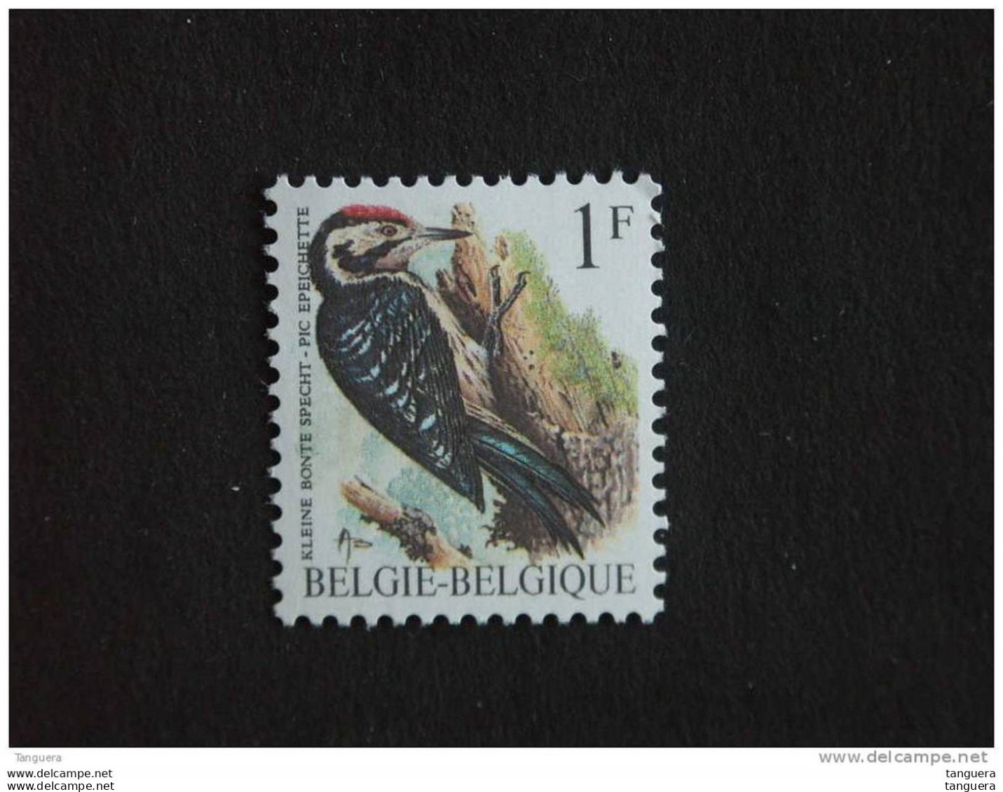 Belgie Belgique Belgium 1990 Vogel Oiseau Buzin Bonte Specht Pic Epeichette Witte Gom 2349 Yv 2349 MNH ** - 1985-.. Vögel (Buzin)