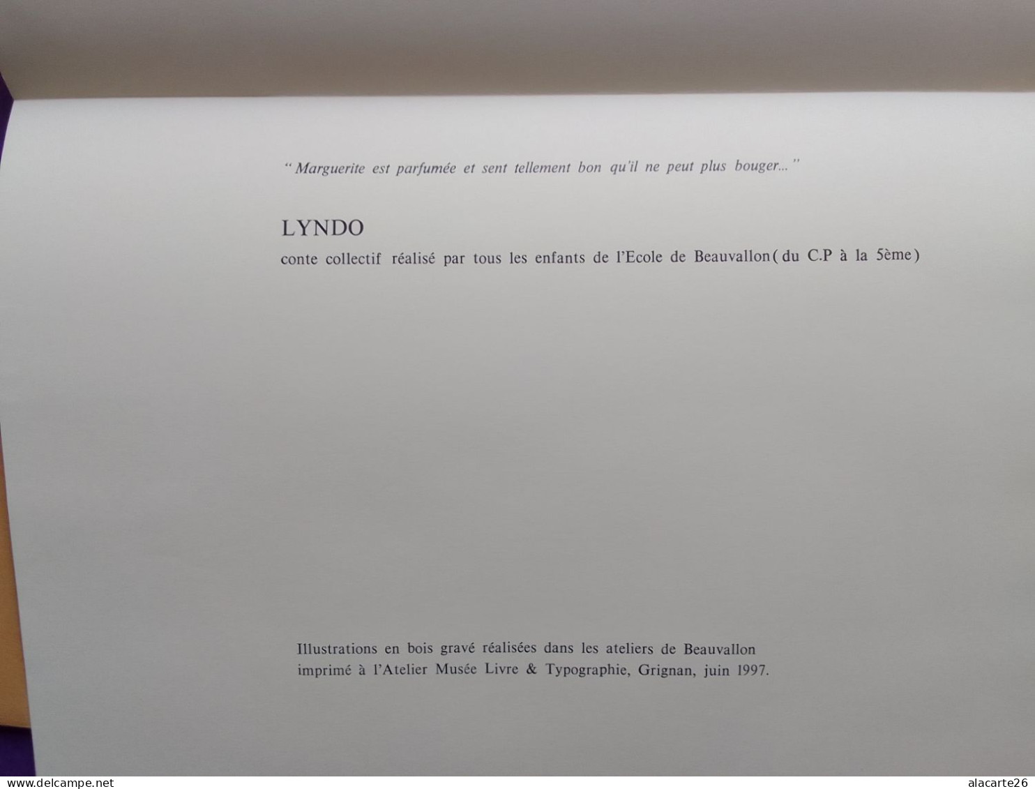 LYNDO ET L'ÎLE AUX 7 MONTAGNES - Racconti