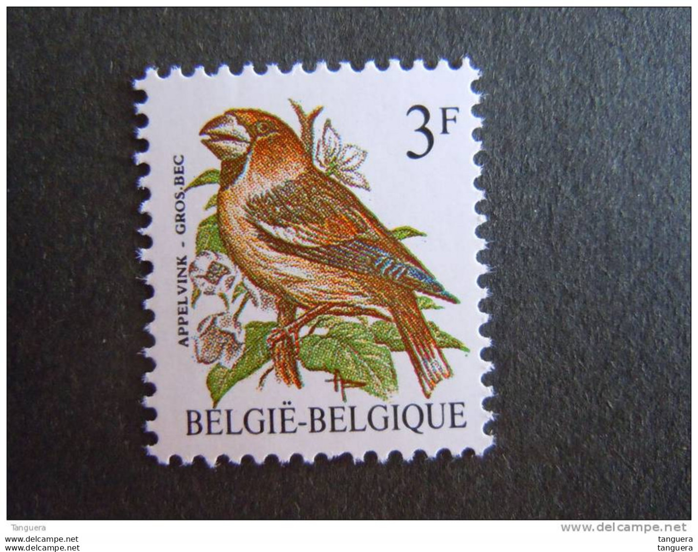 België Belgique Belgium 1985 Appelvink Gros-becvogel Oiseau Buzin Grijze Gom 2189GG Yv 2186a MNH ** - 1985-.. Vogels (Buzin)