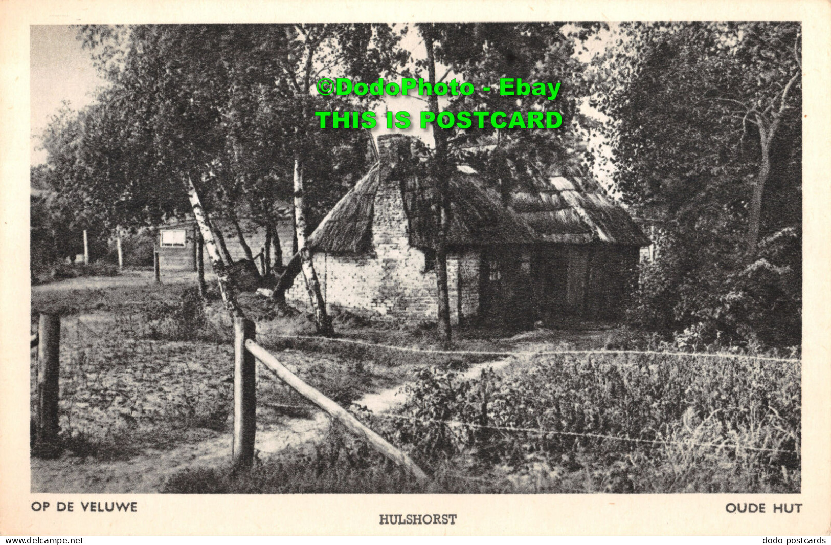 R404665 Op De Veluwe. Hulshorst. Oude Hut. W. H. V. 24 - Monde