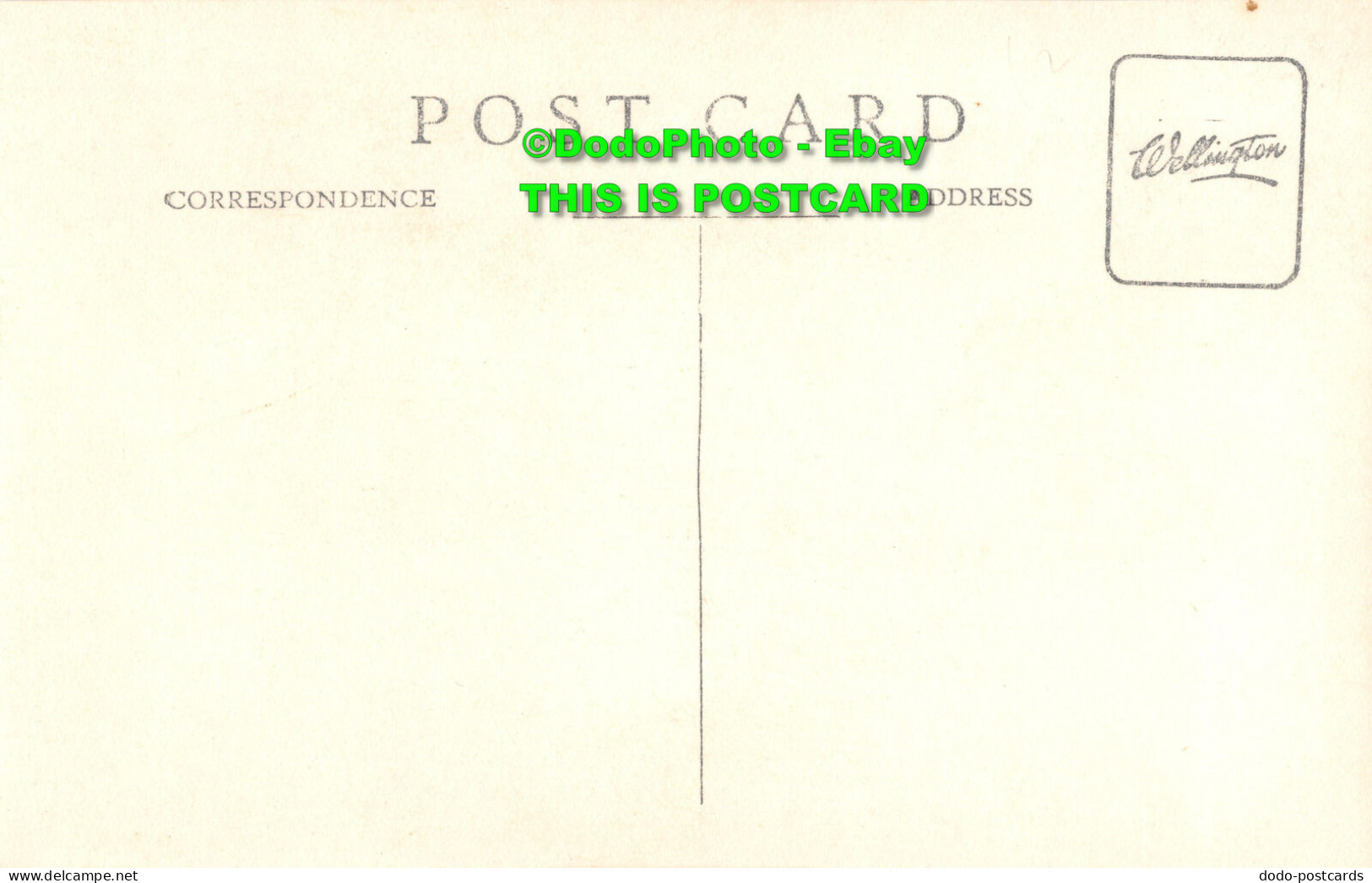 R404219 Camels. Old Photography. Postcard. Wellington - Monde