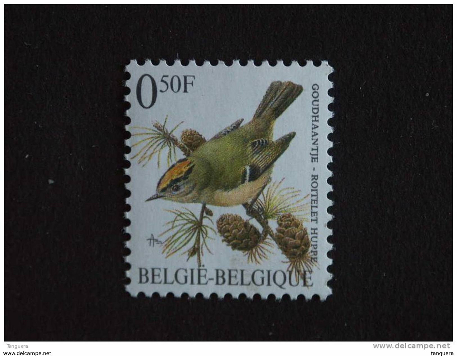 België Belgique Belgium 1991 Vogels Oiseaux Buzin Goudhaantje Roitelet Huppé Witte Gom 2424 Yv 2424 MNH ** - 1985-.. Vögel (Buzin)