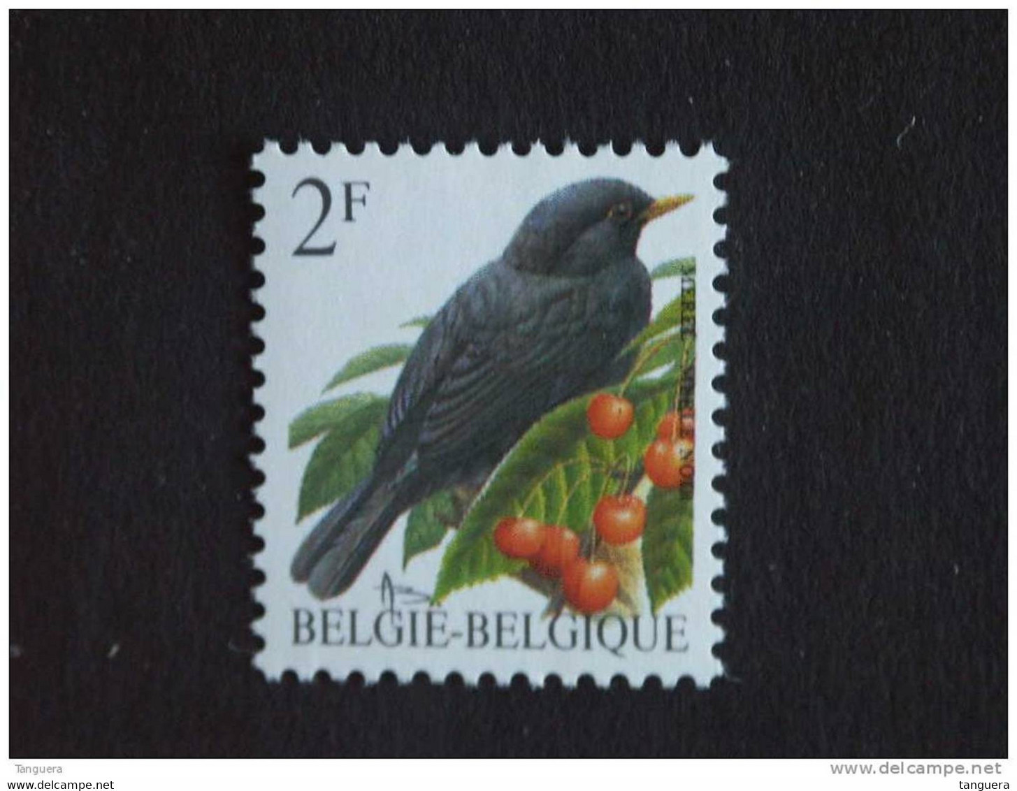 België Belgique Belgium 1992 Vogels Oiseaux Buzin Merel Merle COB & Yv 2458 MNH ** - 1985-.. Birds (Buzin)