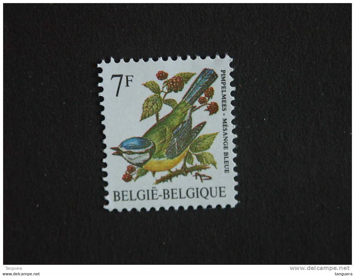 België Belgique Belgium 1987 Vogels Oiseaux Buzin Pimpelmees Mésange Blue 2261 Yv 2261 MNH ** - 1985-.. Vogels (Buzin)