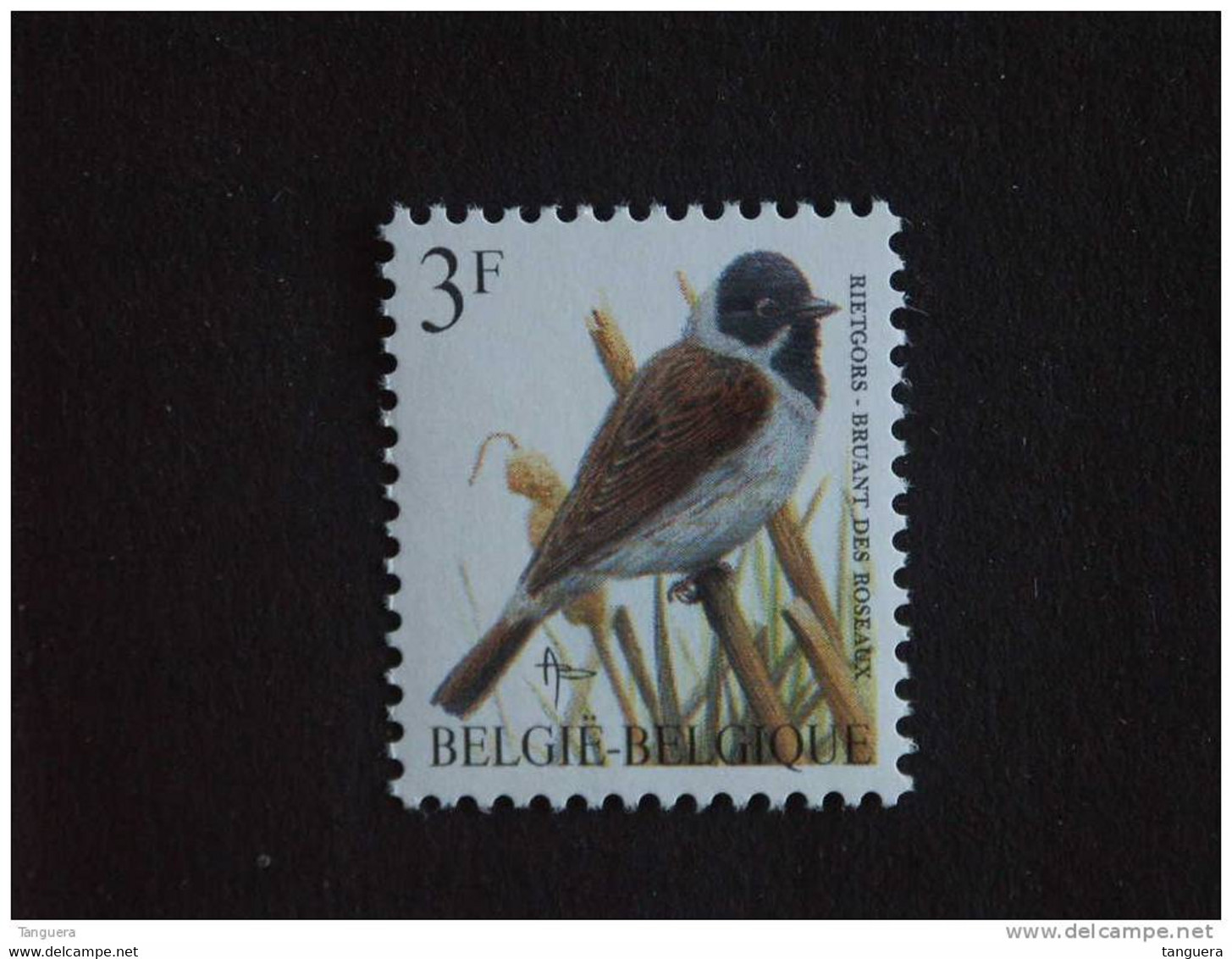 België Belgique Belgium 1991 Vogels Oiseaux Buzin Rietgors Bruant Des Roseaux Witte Gom 2425 MNH ** - 1985-.. Vögel (Buzin)