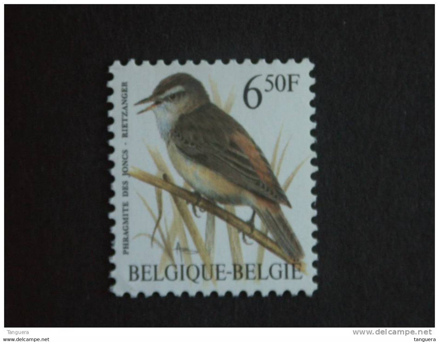 België Belgique Belgium 1994 Vogels Oiseaux Buzin Rietzanger Phragnite 2577 Yv 2576 MNH ** - 1985-.. Vogels (Buzin)