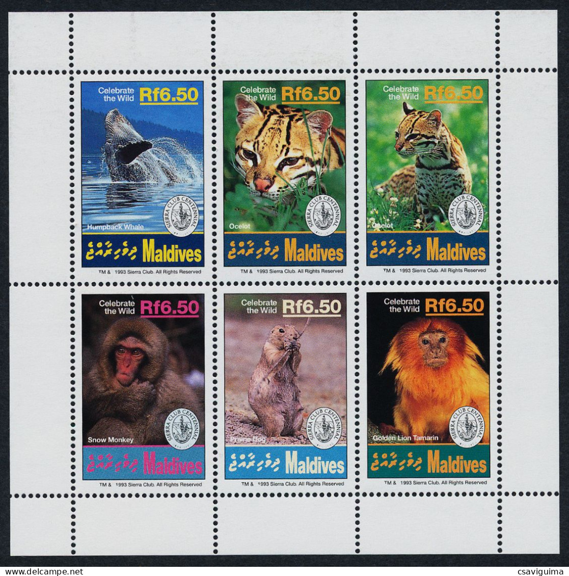 Maldives - 1994 - Sierra Club Whale Monkeys Big Cat - Yv 1794/99 - Walvissen