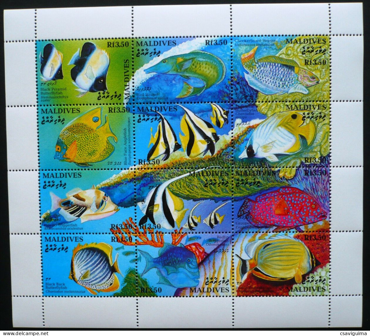 Maldives - 1993 - Marine Life - Yv 1630/41 - Maritiem Leven