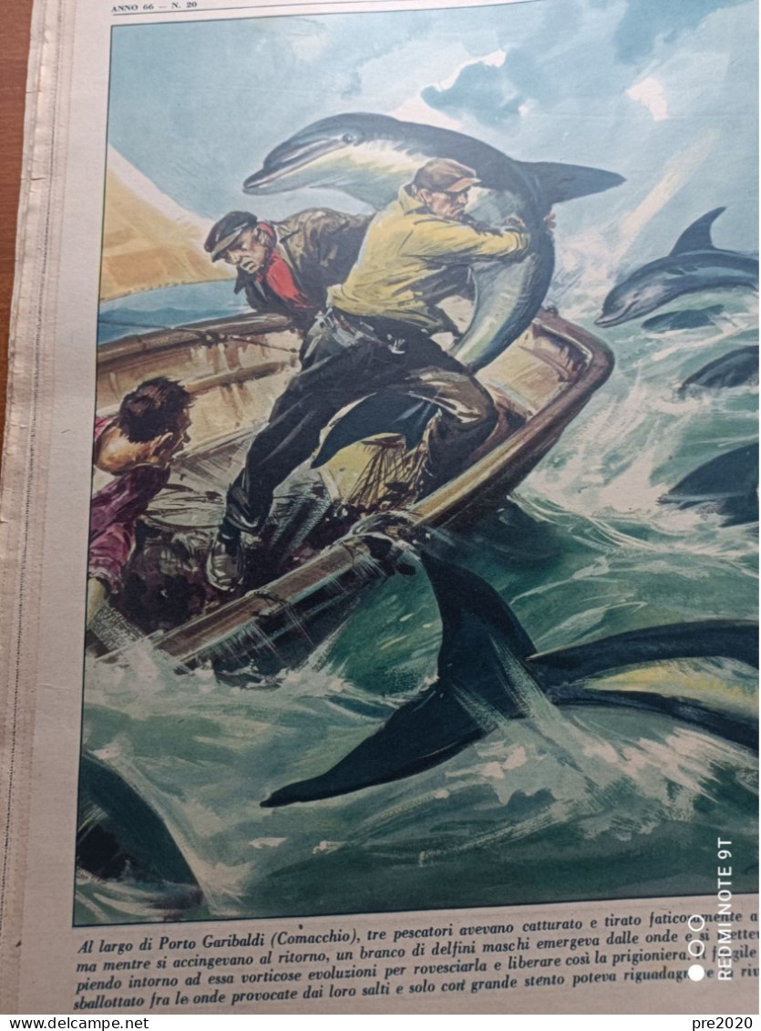 TRIBUNA ILLUSTRATA 1956 EUGENIO CASTELLOTTI PILOTA MILLE MIGLIA SOFIA LOREN PORTO GARIBALDI COMACCHIO - Andere & Zonder Classificatie