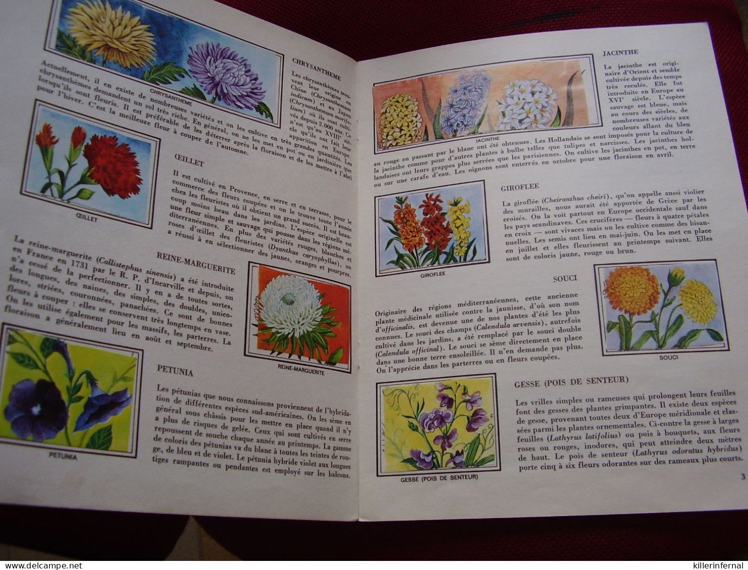 Album Chromos Images Vignettes Encyclopédie Par Le Timbres *** Les Fleurs  *** - Albums & Katalogus