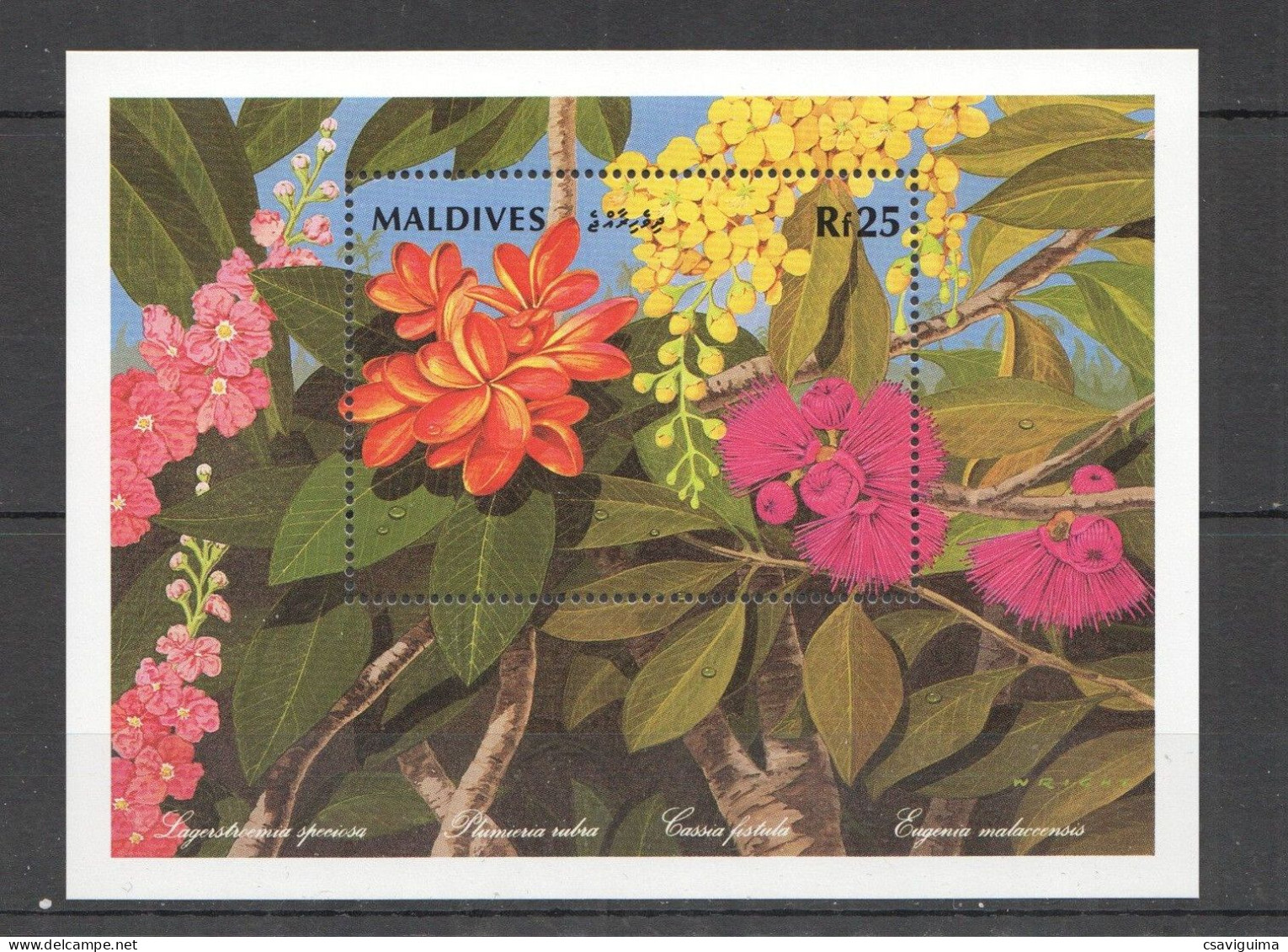 Maldives - 1992 - Flowers - Yv Bf 215 - Other & Unclassified