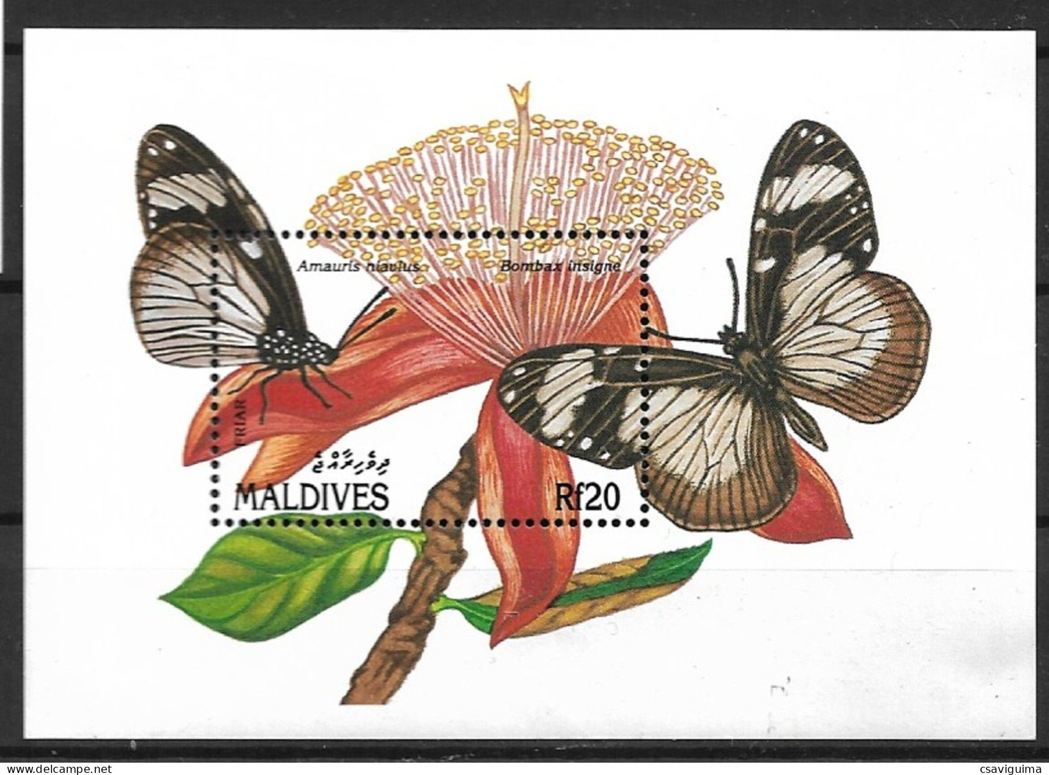 Maldives - 1991 - Insects: Butterflies - Yv Bf 197A - Farfalle