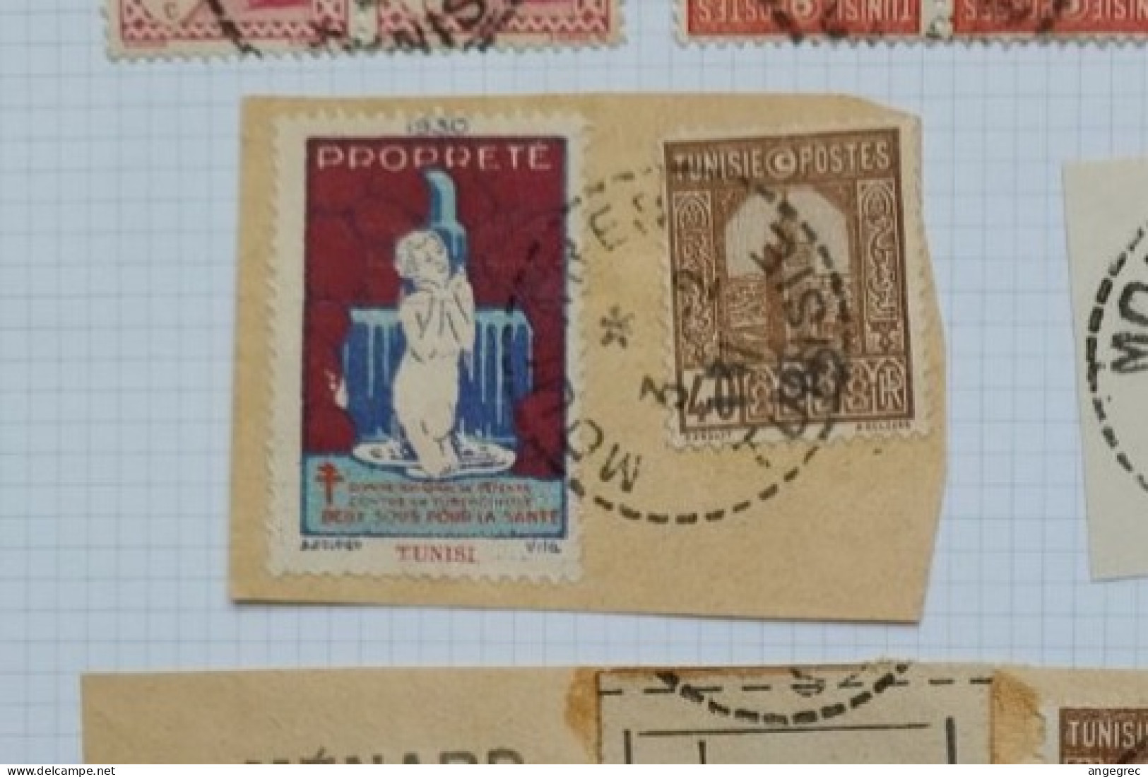 Tunisie Lot Timbre Oblitération Choisies Moulares Dont Fragment Cachet Perlé Vignette Tuberculose Tunisie à Voir - Used Stamps