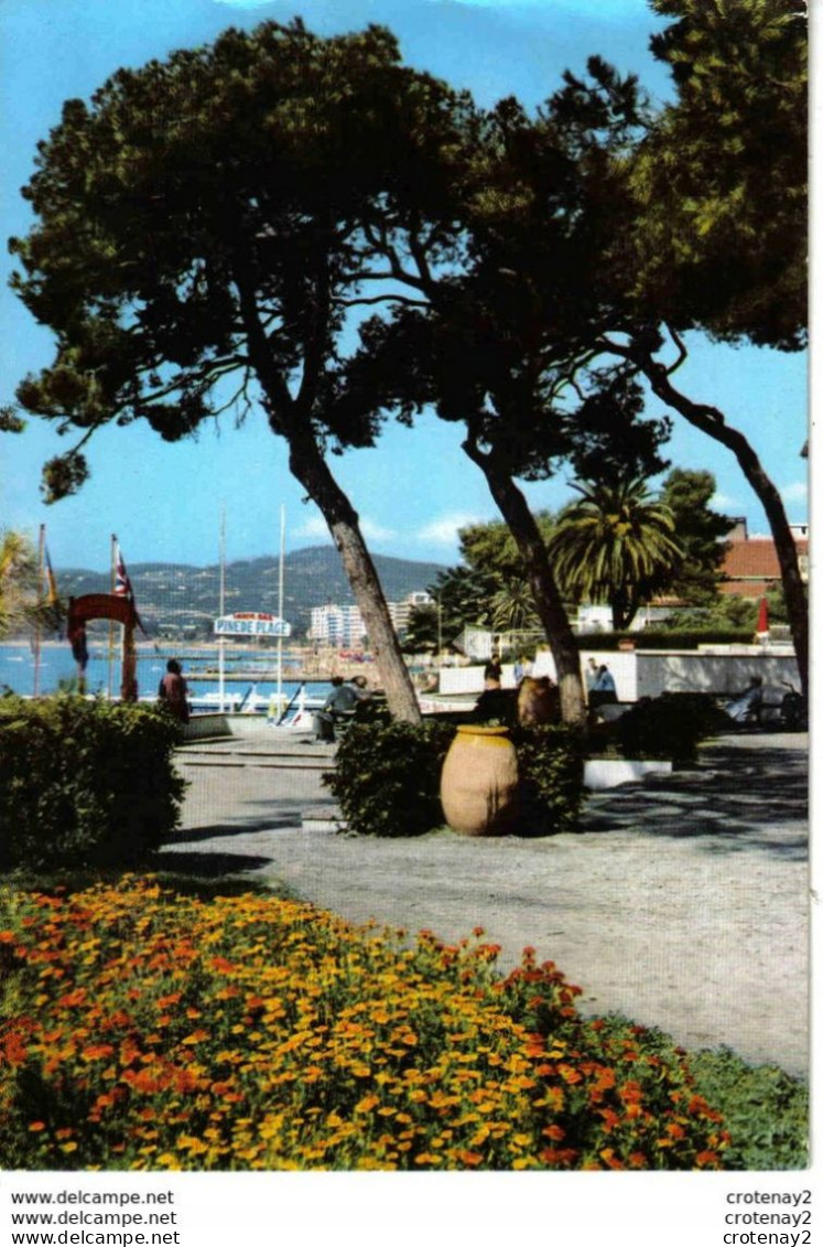 06 JUAN LES PINS Et Sa Pinède Fleurie Et Pinède Plage Postée De Cannes En 1966 - Juan-les-Pins