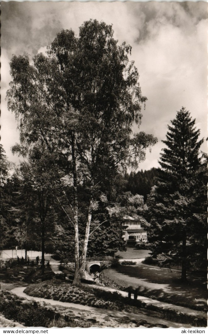 Ansichtskarte Bad Sachsa Partie Im Kurpark 1955 - Bad Sachsa