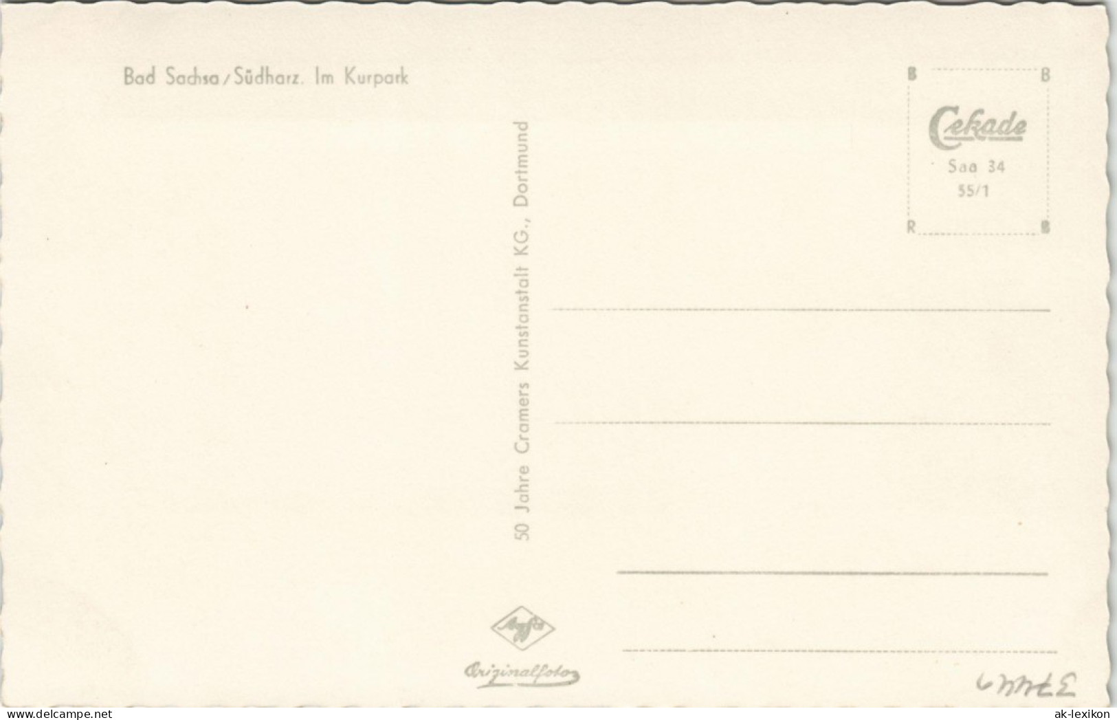 Ansichtskarte Bad Sachsa Partie Im Kurpark 1955 - Bad Sachsa