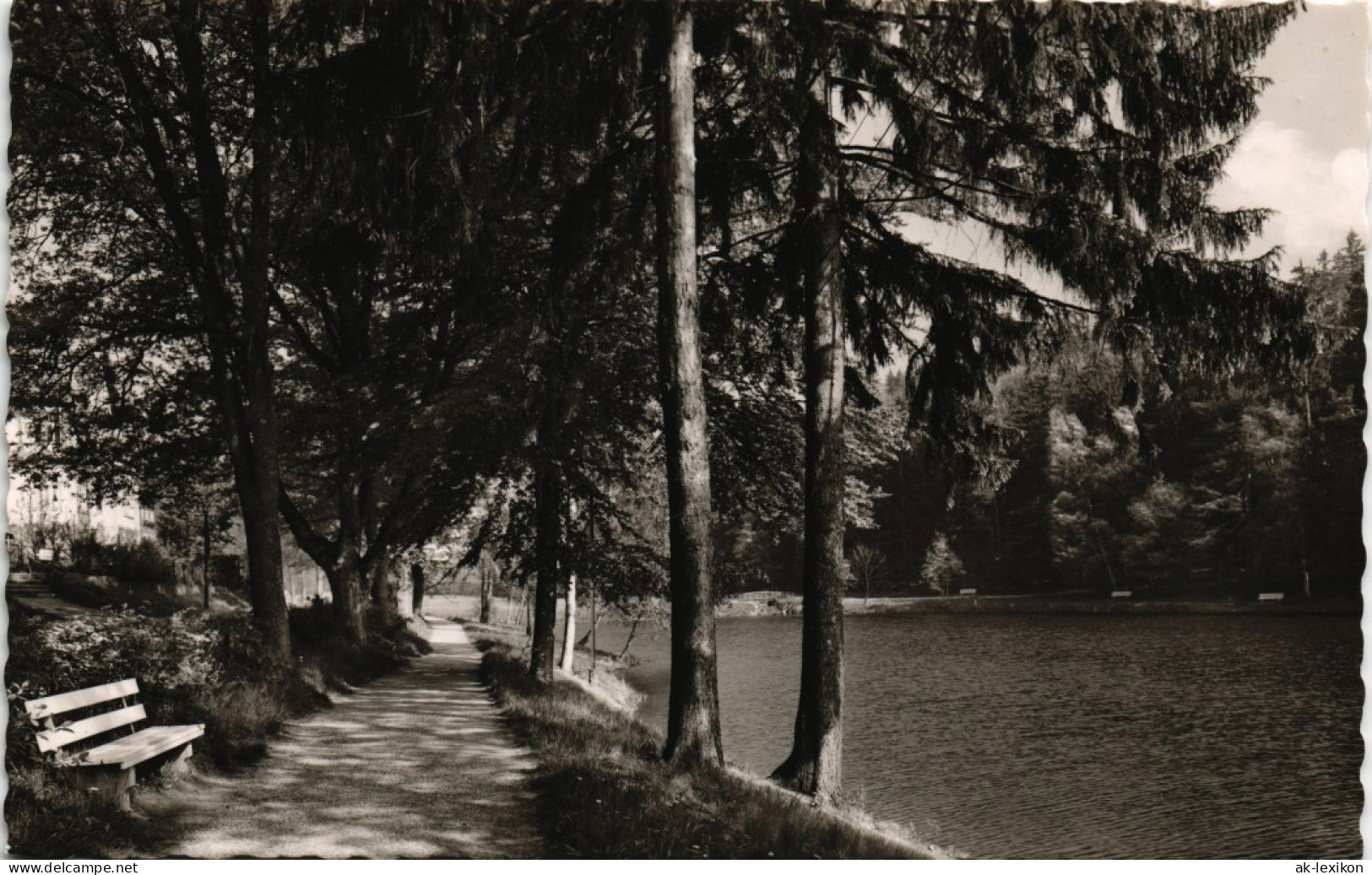 Ansichtskarte Bad Sachsa Partie Am Schmelzteich 1955 - Bad Sachsa