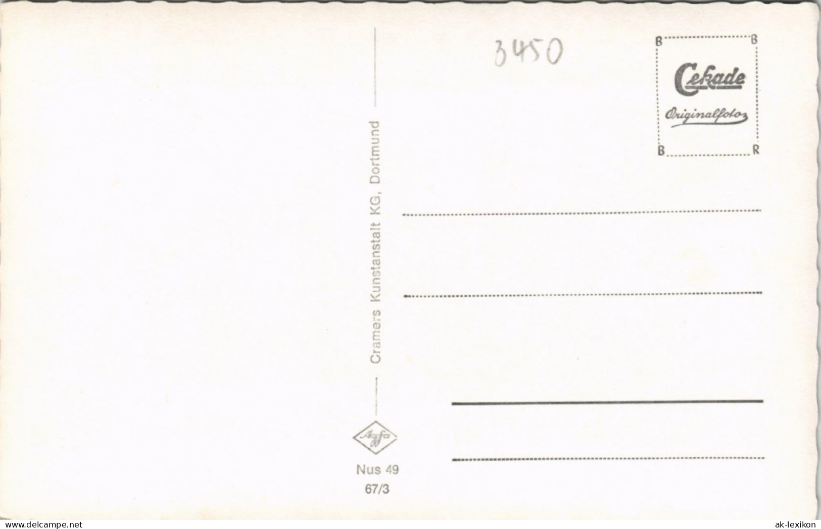 Ansichtskarte Neuhaus Im Solling-Holzminden Umland Wald Partie 1967 - Holzminden