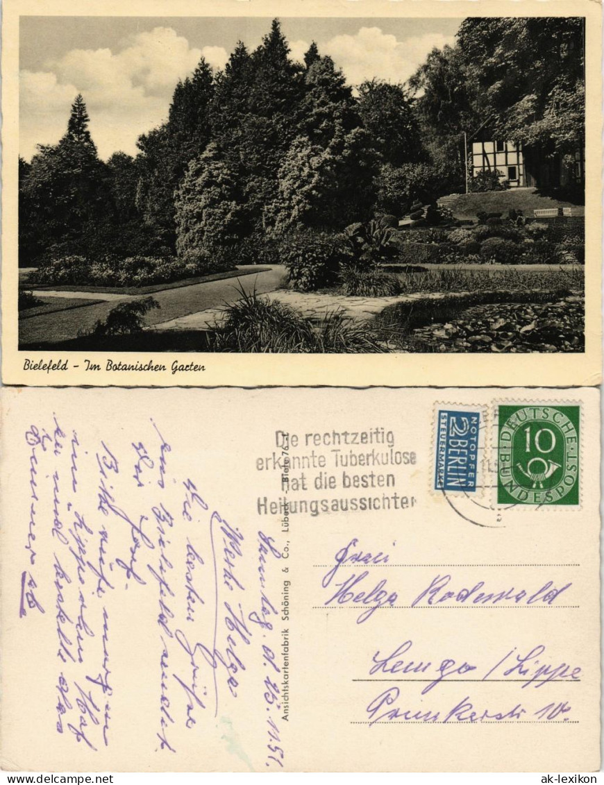 Ansichtskarte Bielefeld Partie Im Botanischer Garten 1951 - Bielefeld