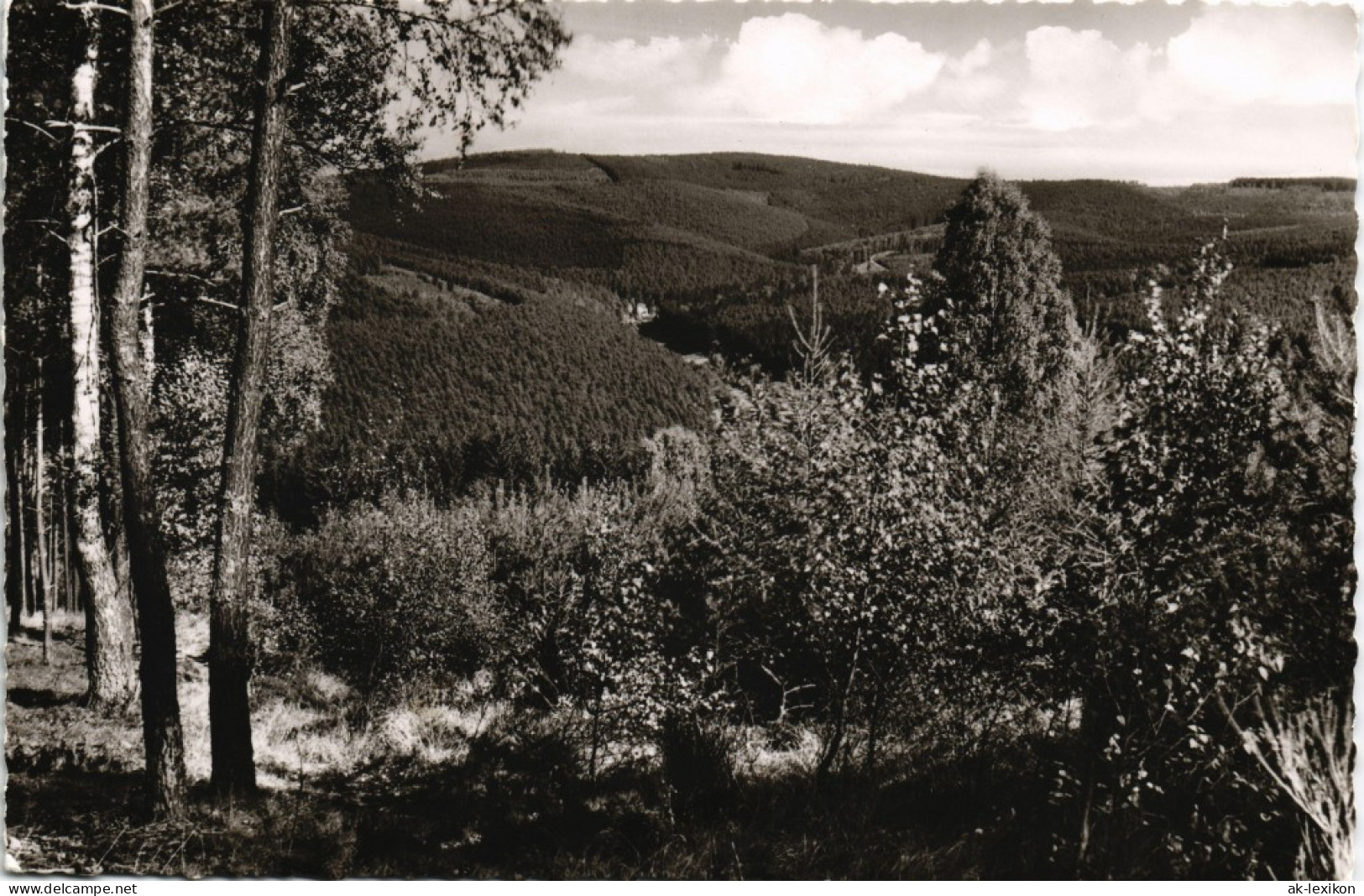 Ansichtskarte Bad Orb Umland-Ansicht Blick Ins Haseltal 1960 - Bad Orb