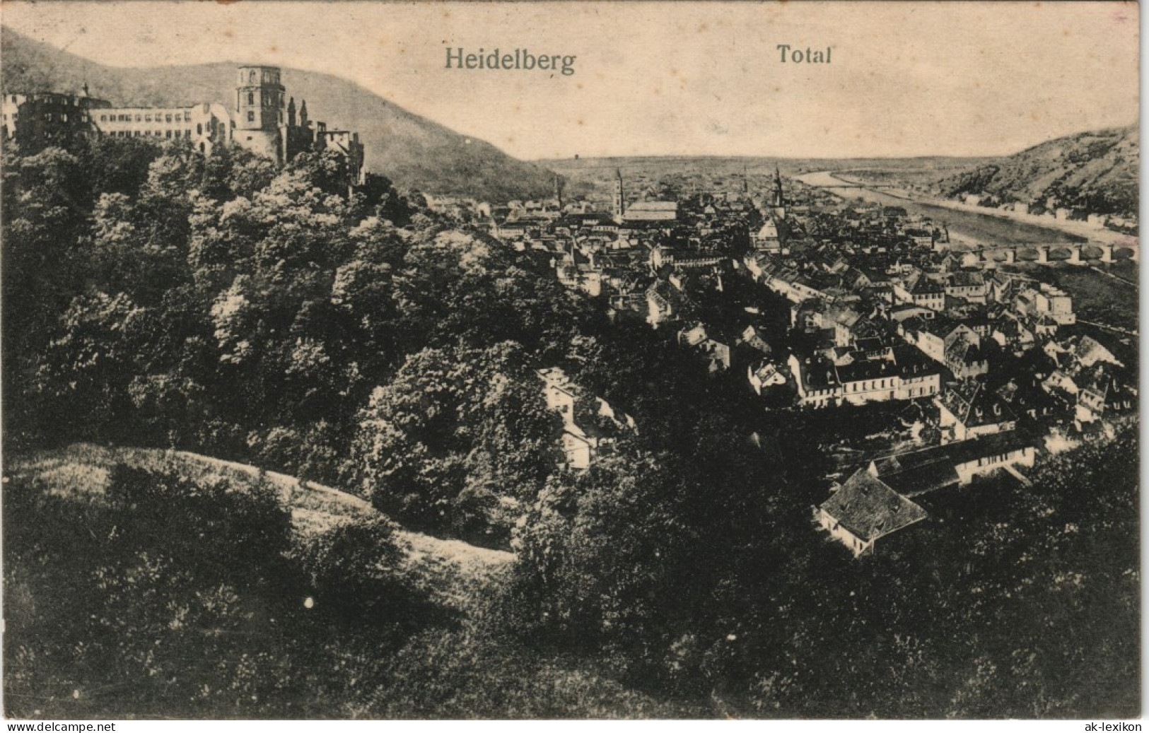 Ansichtskarte Heidelberg Totale 1909 - Heidelberg