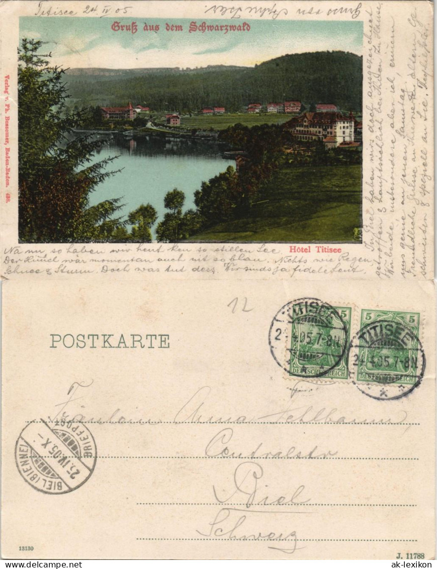 Ansichtskarte Titisee-Neustadt Hotel Titisee 1905 - Titisee-Neustadt