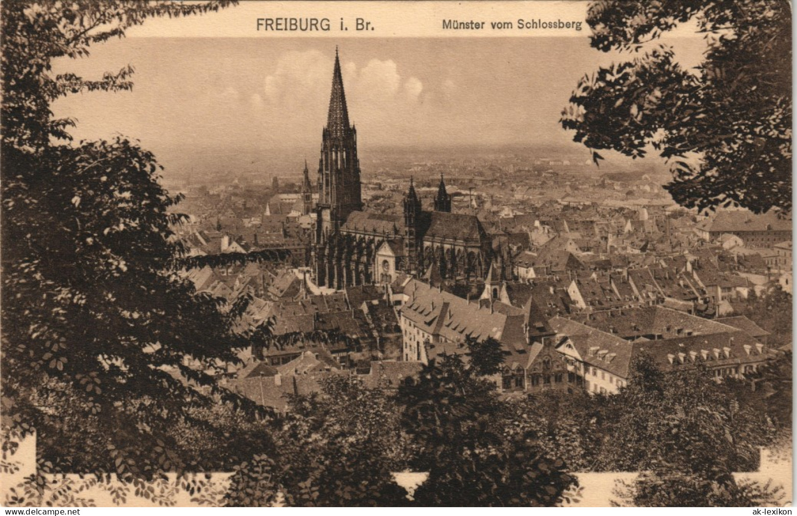 Ansichtskarte Freiburg Im Breisgau Münster Vom Schlossberg 1906 - Freiburg I. Br.